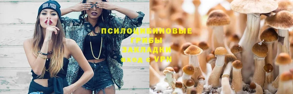 гашик Балабаново