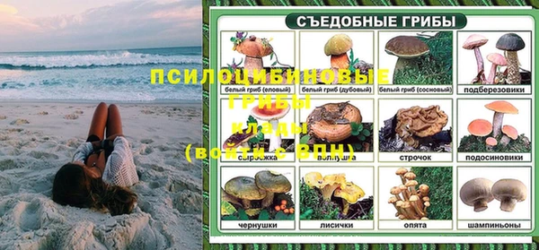круглые Аркадак