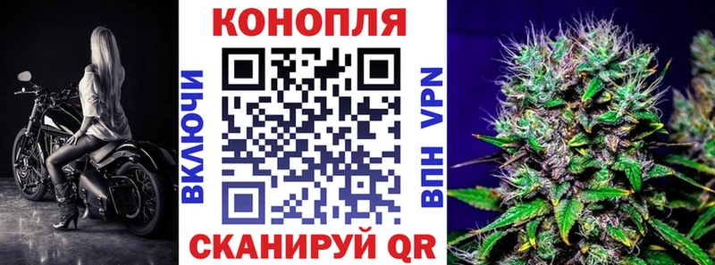 Каннабис сатива Цивильск